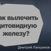 Дмитрий Лапшинов