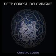 Crystal Clear Deep Forest