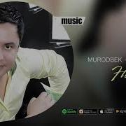 Murodbek Qilichev Hadicha