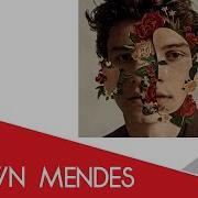 Shawn Mendes Lost In Japan Минус