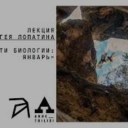 Сергей Лопатин