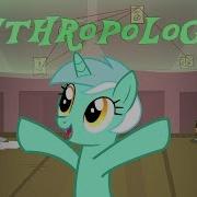 Anthropology Animated Pmv