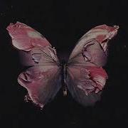 Before You Exit Silence