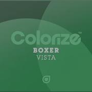 Boxer Vista