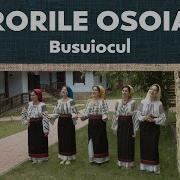 Surorile Osoianu Busuiocul