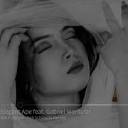 Elegant Ape Feat Gabriel Montufar Not Forgiven Anton Ishutin Remix Apelislin Music