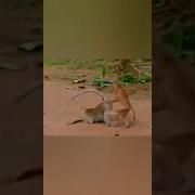 Эротические Видео Юлю Раком Ебет