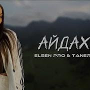 Elsen Pro Dalma Dalma