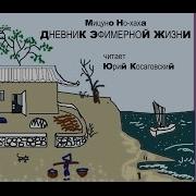 Дневник Эфемерной Жизни