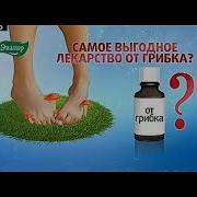 Заставкв Бридж Тв 2014