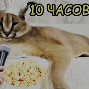 Песня Про Пельмени 10 Часов