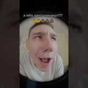 Кто Накал Куки Это Ты Насрал