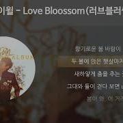 K Will Love Blossom 러브블러썸