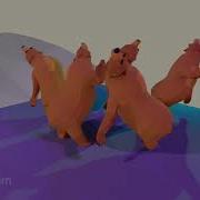 Bears Dance To Sweet Dreams