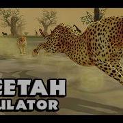 Wild Cheetah Sim Trailer