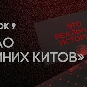 Мужское Женское Синий Кит