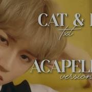 Cat And Dog Acapella