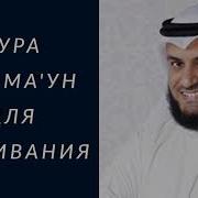 Сура Аль Маун Мишари Рашид