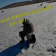 Колашников Бурундуки