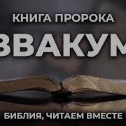 Книга Пророка Аввакума Уникальная Аудиобиблия