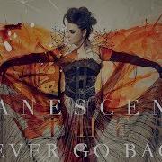 Evanescence Never Go Back