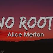 Alice Merton Wo Roots