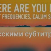 Where Are You Now Lost Frequencies Calum Scott На Русском