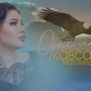 Кавсарат Магомедова Орёл Любви