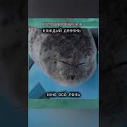 Мем Мне Лень