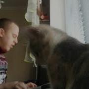 Ах Эта Свадьба Пианино