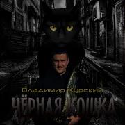 Владимир Песня Чёрная Кошка