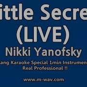 Little Secret Минус Nikki