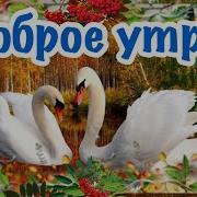 С Добрым Утром И Счастливым Днем Оь Зайкт