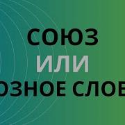 Союзы И Союзные Слова Как Отличить