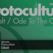 Cobalt Protoculture