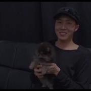 Jhope Did You See My Bag Yeontan