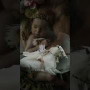 Селин Дион Инструментальная Музыка
