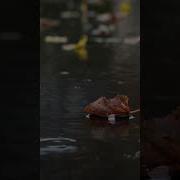 Мелодия Моей Души Молчание