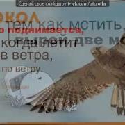 Дорогу Осилит Идущий Выступление