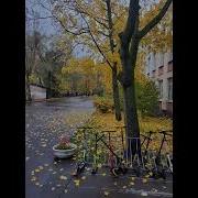 Осень Музыка Для Сна Листья