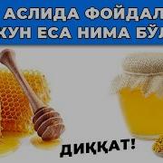 Асални Фойдаси