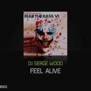 Dj Serge Wood Feel Alive