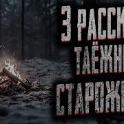 Страшные Истории На Ночь В Тайгу
