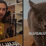 Cat Song Meme