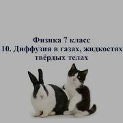 10 Диффузия В Газах Жидкостях И Твёрдых Телах