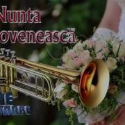 Nunta La Moldoveni Sarbe Si Hore Nonstop