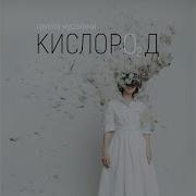 Мураками Честности Нет