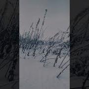Благодарю Солнце Благодарю Небо