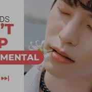 Stray Kids Cant Stop Instrumental