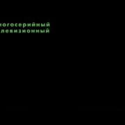 Волчица 51